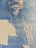 IMAGE 2024-11-24 18_41_49.jpg